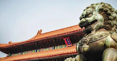大粵獅王：培育王者風(fēng)范，成就光榮與夢想